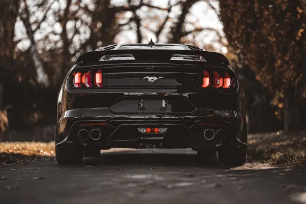 Winning Kasino Apl Android/iOS